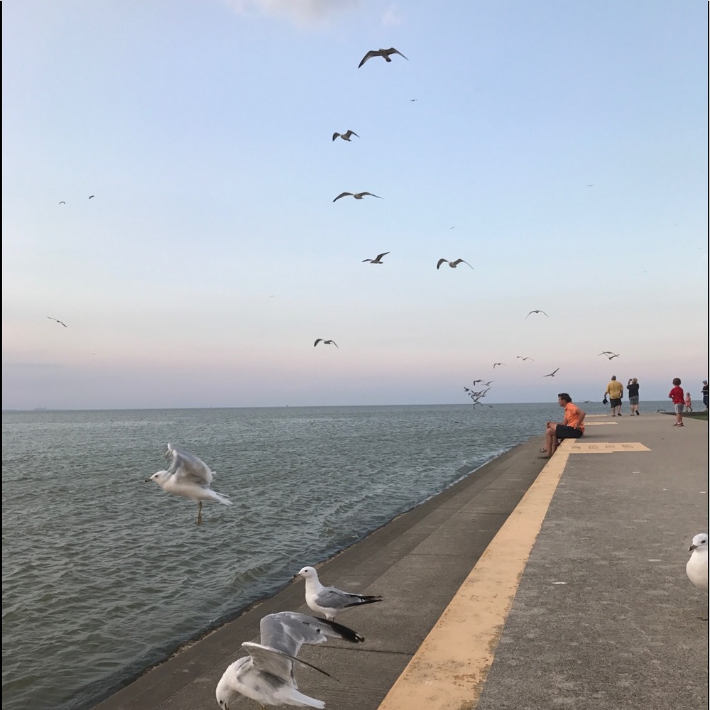 Meet your Posher, Mira